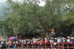 Tam Đảo sau 10 năm với ngành "công nghiệp không khói"