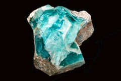 (Nguồn: breakingisraelnews.com)