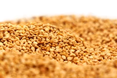 Hạt Quinua. (Nguồn: wikimedia.org)