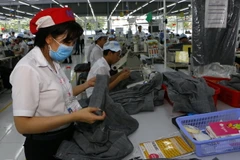 (Ảnh minh họa: Duy Khương/TTXVN)