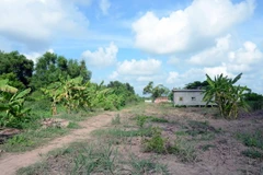 (Ảnh minh họa: Hưng Thịnh/TTXVN)