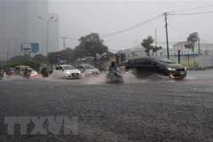 (Ảnh minh họa: Xuân Dự/TTXVN) 
