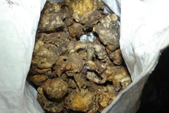 (Ảnh minh họa: Đậu Tất Thành/TTXVN)