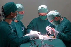 (Ảnh minh họa: Phương Vy/TTXVN)