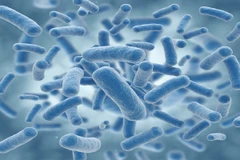 Ảnh minh họa. (Nguồn: zeenews.india.com)