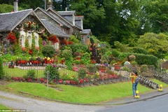 Làm thế nào để biến khu vườn cỏ dại thành điểm du lịch hút khách?