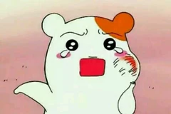 Ảnh minh họa. (Nguồn: cjn.cn)