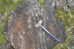 (Nguồn: sciencedaily.com)