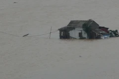 Một nhà dân tại xã Quảng Hải, thị xã Ba Đồn bị nước lũ bao vây sáng 1/11. (Ảnh: Đức Thọ/TTXVN)