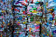 Ảnh minh họa. (Nguồn: wearesalt.org)