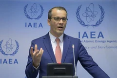 Quyền Tổng Giám đốc Cơ quan năng lượng nguyên tử quốc tế (IAEA), ông Cornel Feruta. (Nguồn: AFP/TTXVN) 