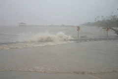 Ảnh minh họa. (Nguồn: news.discovery.com)