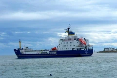 (Nguồn: thestate.com)