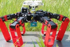 (Nguồn: interestingengineering.com) 