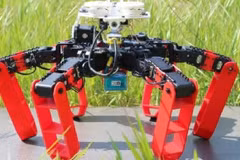 (Nguồn: interestingengineering.com) 
