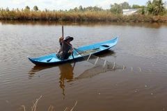 (Ảnh minh họa: Huy Hải/TTXVN)