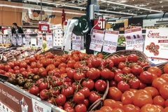 Cà chua được bày bán tại một siêu thị ở Lile, Pháp. (Nguồn: AFP/TTXVN)