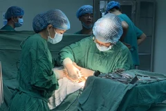 Ảnh minh họa. (Nguồn: TTXVN) 