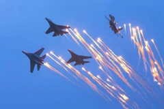 Ảnh minh họa. (Nguồn: sina.com.cn) 