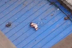 (Nguồn: china.com)