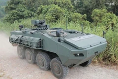 Xe thiết giáp mã hiệu Terrex. (Nguồn: Army Recognition)
