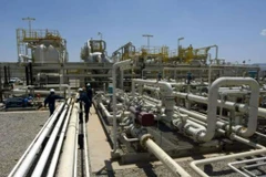 Ảnh minh họa. (Nguồn: AFP) 