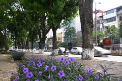 (Ảnh minh họa: Minh Quyết/TTXVN)