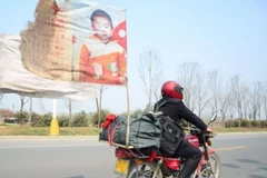 Quách Cương Đường trên hành trình tìm con trai. (Nguồn: Shanghaiist)