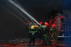 (Ảnh minh họa: Mạnh Linh/TTXVN)