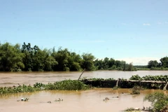 (Ảnh minh họa: Sỹ Thắng/TTXVN)