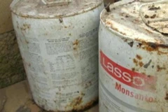 (Nguồn: eutoday.net) 