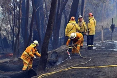 Lực lượng cứu hỏa nỗ lực dập lửa cháy rừng tại Dargan, Australia, ngày 18/12/2019. (Nguồn: AFP/TTXVN) 