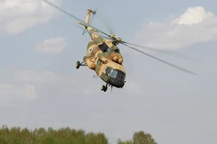 (Nguồn: sputniknews.com)