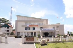 Diễn biến vụ Giám đốc Công ty Điện lực Lâm Đồng khai man thành tích