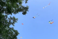 [Photo] Người dân thích thú với Lễ hội diều Huế chào mừng Festival