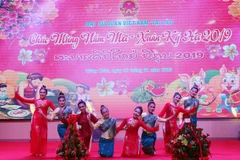 Tiết mục múa tập thể ca ngợi tình đoàn kết Việt Nam-Lào. (Ảnh: Xuân Tú/TTXVN) 