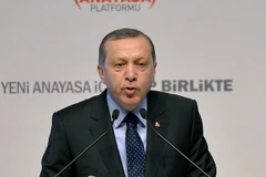 Tổng thống Thổ Nhĩ Kỳ Tayyip Erdogan. (Nguồn: AFP/TTXVN)