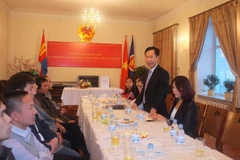 Quang cảnh lễ phát động. (Nguồn: TTXVN)