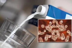 Ảnh minh họa. (Nguồn: focus.de) 