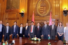 Đoàn đại biểu Việt Nam trong buổi làm việc với Phó Thủ tướng thứ nhất kiêm Bộ trưởng Tài chính Hungary. (Ảnh: Quang Vinh/Vietnam+)