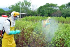 Ảnh minh họa. (Nguồn: cadenanoticias.mx)