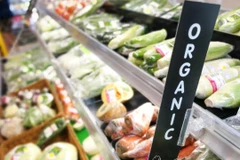 Ảnh minh họa. (Nguồn: ien.com) 