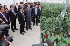 [Video] Đoàn lãnh đạo cấp cao Triều Tiên thăm VinFast và VinEco