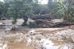 Nhiều lớp đất mặt mầu mỡ trồng rau bị nước lũ cuốn trôi hết. (Ảnh: K GỬIH/TTXVN)