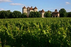 Ảnh minh họa. (Nguồn: theguardian.com)