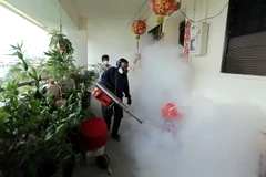 Phun thuốc khử trung nhằm ngăn chặn sự lây lan của virus Zika tại Singapore ngày 28/4. (Nguồn: AFP/TTXVN)
