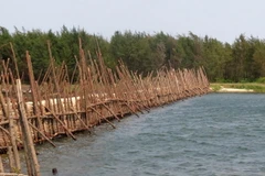 (Ảnh minh họa: Sỹ Thắng/TTXVN) 