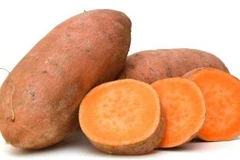 Ảnh minh họa. (Nguồn: mnn.com)