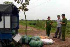 (Ảnh minh họa: Văn Đạt/TTXVN)