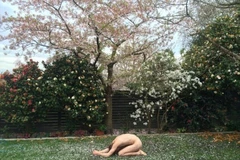 Trào lưu mới này, có tên gọi "Frozen Chook," bắt nguồn từ New Zealand.